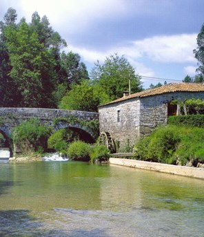 Tours for all tastes