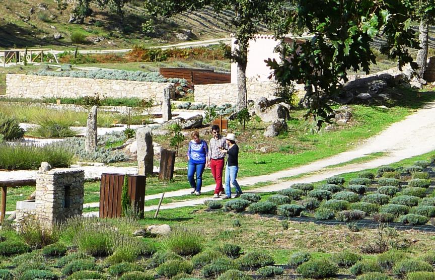 Quinta das Lavandas - Castelo de Vide - Alentejo